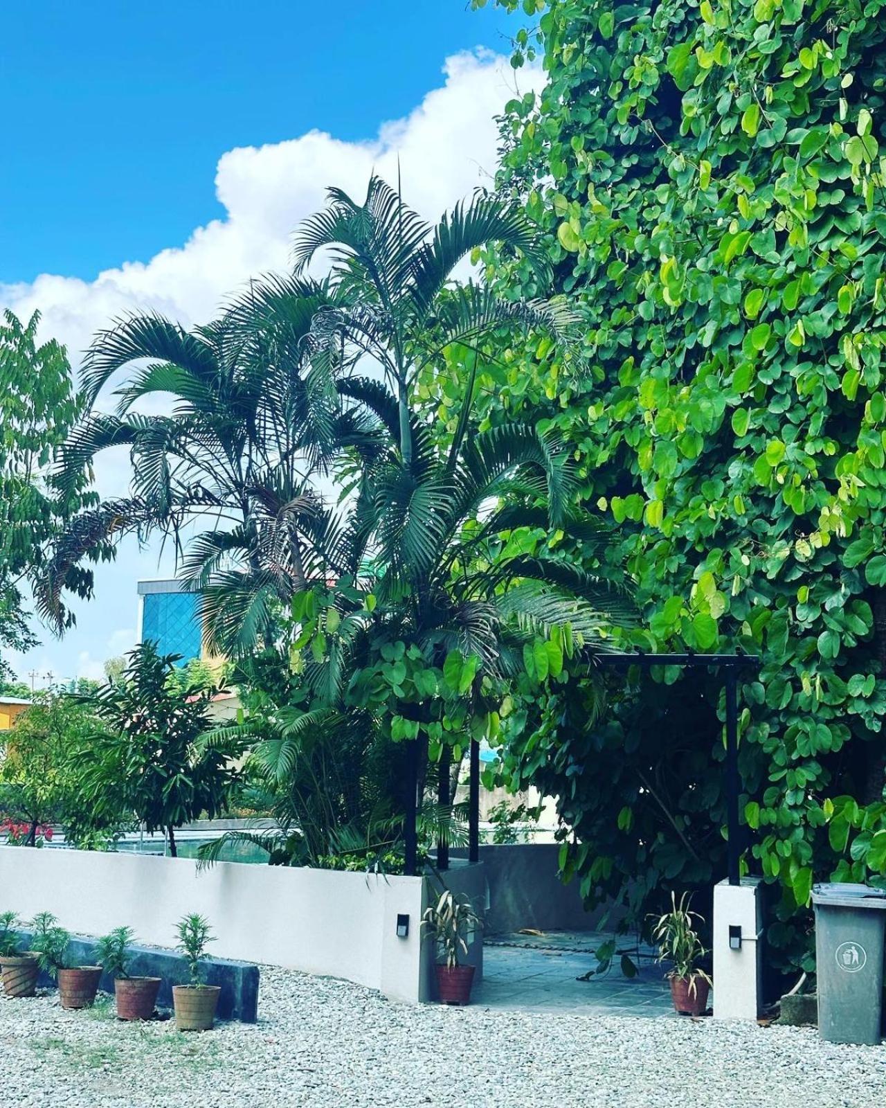 Hotel Parkside & Swimming Pool-Between Greenery And Azure ,Your Perfect Retreat Читван Екстериор снимка