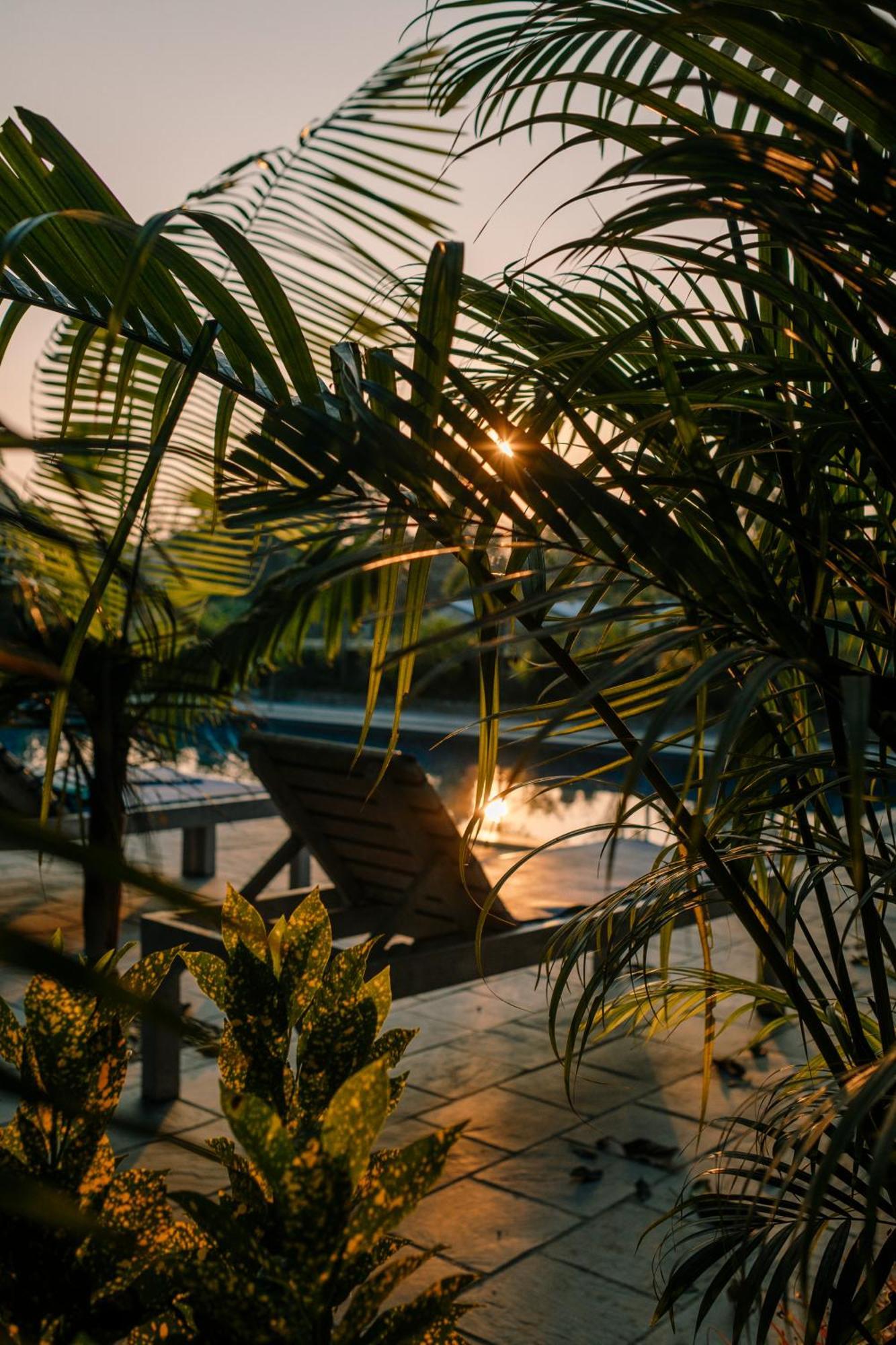 Hotel Parkside & Swimming Pool-Between Greenery And Azure ,Your Perfect Retreat Читван Екстериор снимка